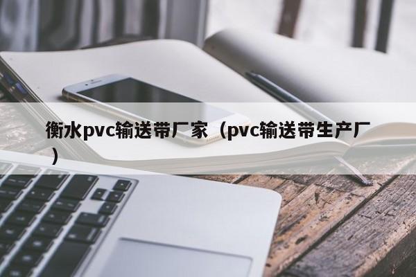 衡水pvc輸送帶廠家（pvc輸送帶生產(chǎn)廠 ）