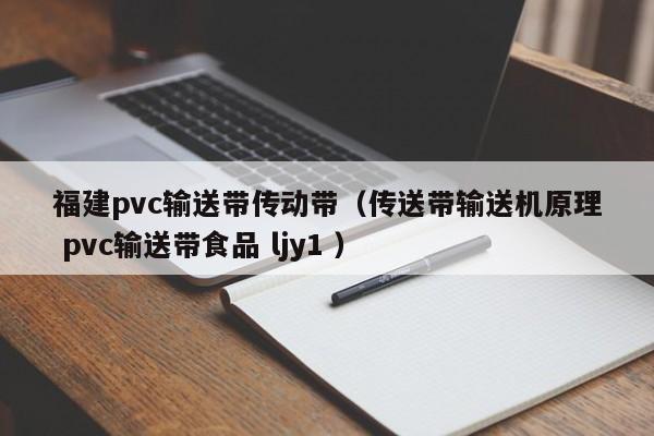 福建pvc輸送帶傳動(dòng)帶（傳送帶輸送機(jī)原理 pvc輸送帶食品 ljy1 ）