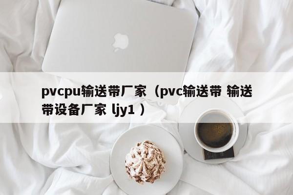 pvcpu輸送帶廠家（pvc輸送帶 輸送帶設(shè)備廠家 ljy1 ）